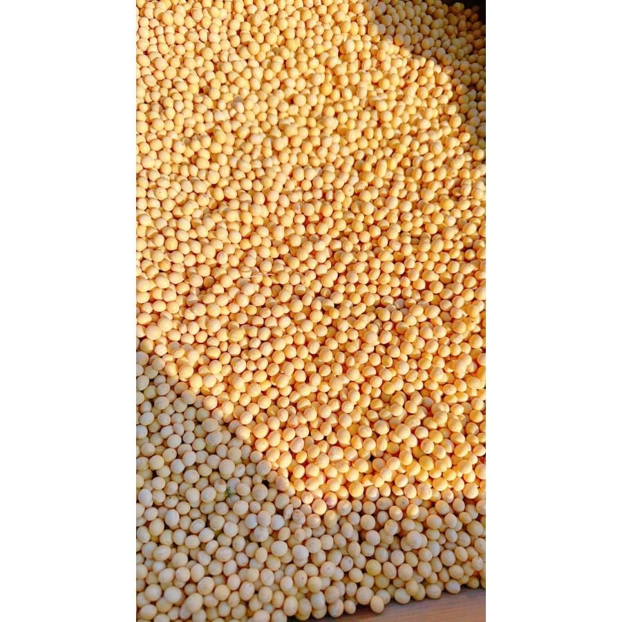 無農薬大豆 農家直送 福岡県産 フクユタカ 1キロ 送料無料 : 九州野菜