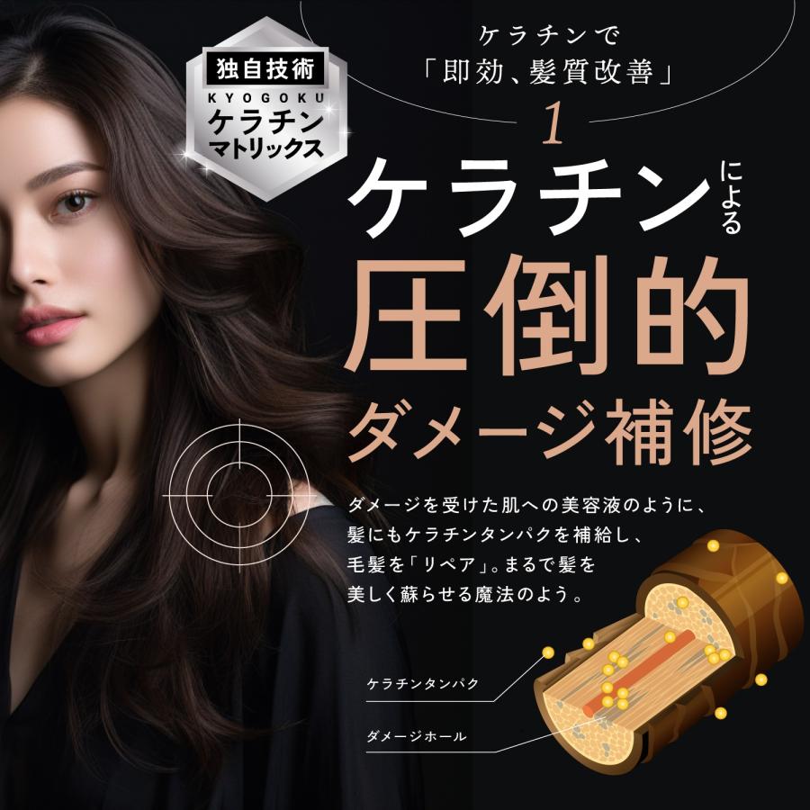 KYOGOKU PROFESSIONAL 公式 35%OFF 【 KYOGOKU ケラチンシャンプー