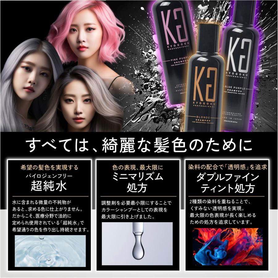 KYOGOKU PROFESSIONAL 公式 20％OFF【 KYOGOKU カラーシャンプー