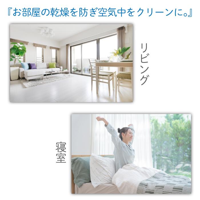 オゾン超音波加湿器 OMI35LW UVC 除菌 消臭 小型 ウイルス対策 細菌