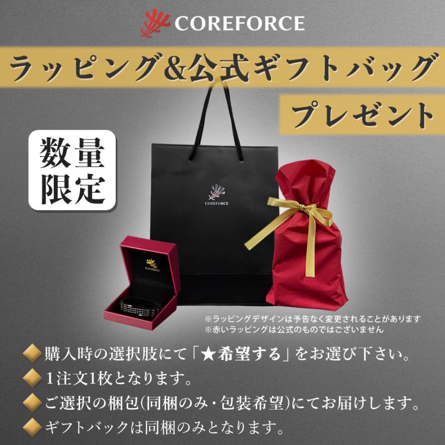 コアフォース ループ ブラックスピネル CFL70 70cm : 磁気ネックレス