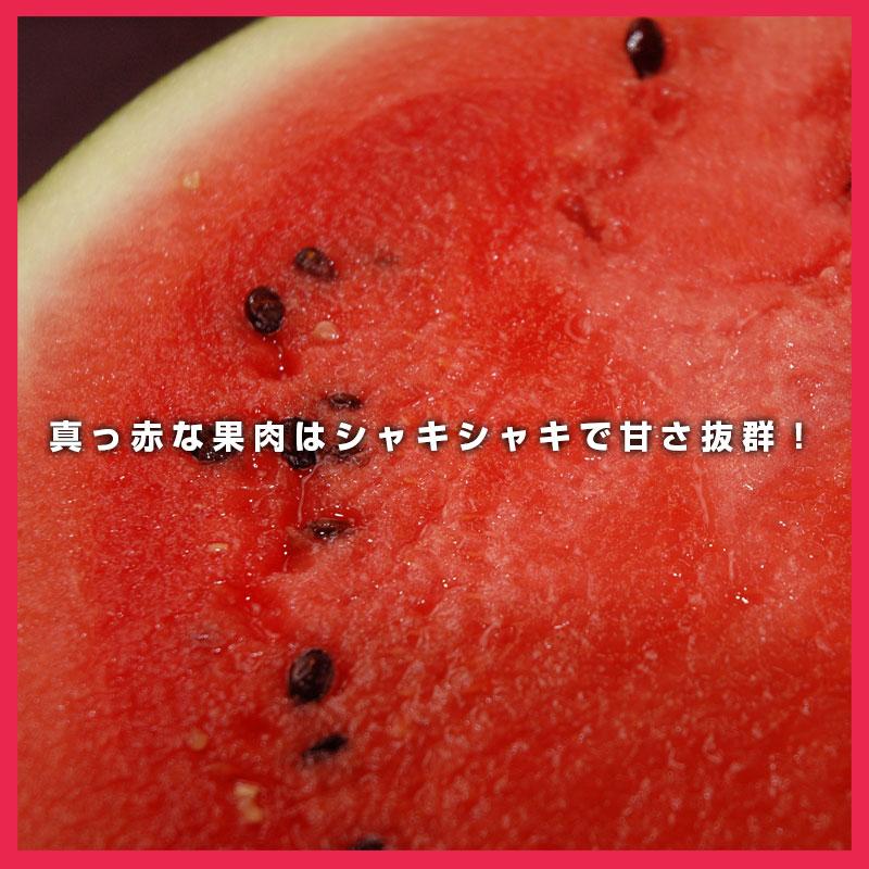 予約】でんすけすいか（秀品）5L／10kg 1玉 通販 スイカ 北海道産 黒