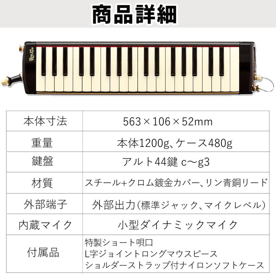 アイオン スズキ 鍵盤ハーモニカ メロディオン アルト PRO-37v3 専用