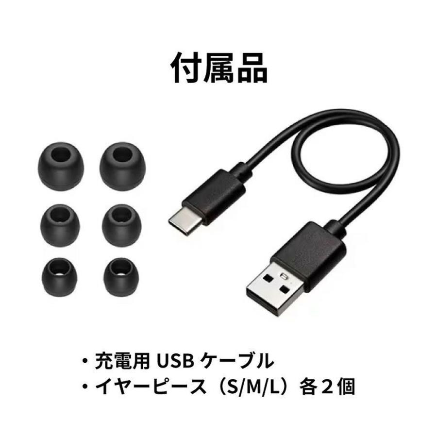 JVCケンウッド（JVC KENWOOD） （ワイヤレスイヤホン）JVC Victor