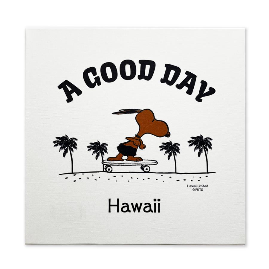 SNOOPY（スヌーピー） ハワイ限定 ハワイ直輸入 日焼けスヌーピー