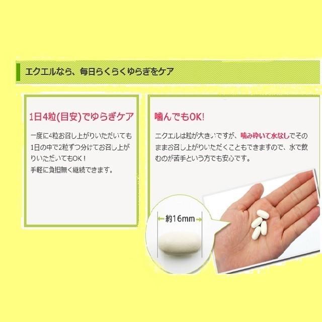 エクエル 120粒入 パウチ 5個 エクオール 大塚製薬 EQUELLE【代引き