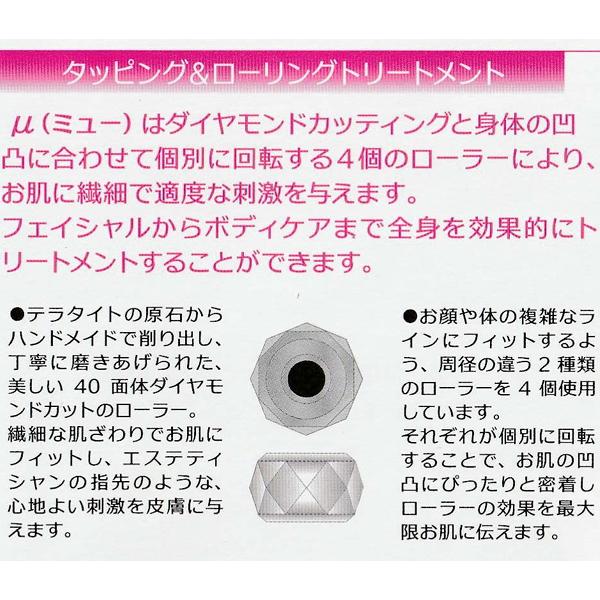 テラローラー ミュー フェイスローラー フェイスケア TERA ROLLER μ