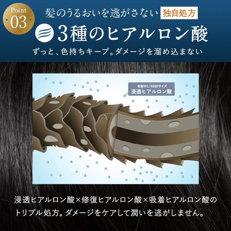 KAMIKA カミカ シャンプーセット KAMIKA 2本 10％オフ クリーム