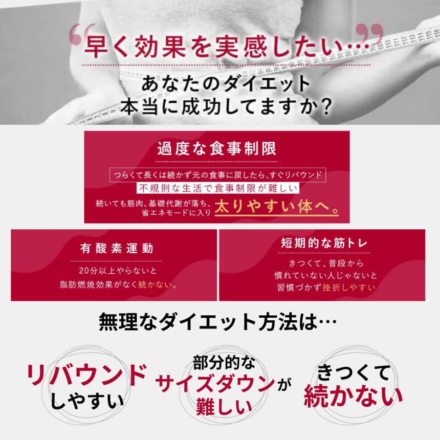 セルゼロ CELLZERO セルゼロスマートCELLZERO SMART 美顔器