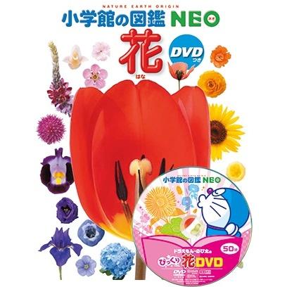 小学館の図鑑NEO) 花 DVDつき : 枚方 蔦屋書店 Yahoo!店 - 通販