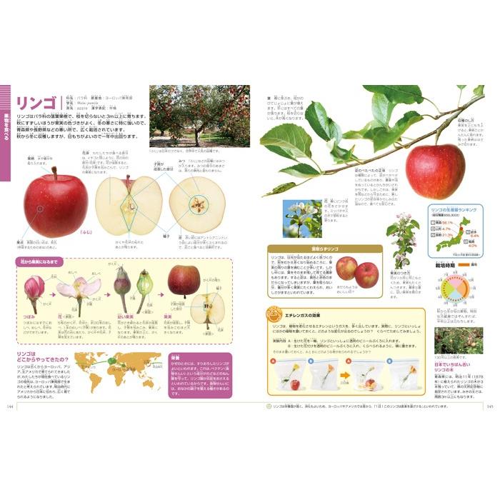 小学館の図鑑NEO) 野菜と果物 : 枚方 蔦屋書店 Yahoo!店 - 通販