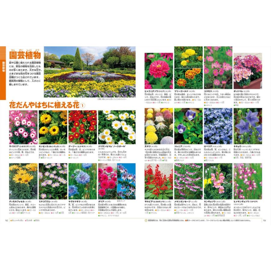 小学館の図鑑NEO) [新版] 植物 DVDつき : 枚方 蔦屋書店 Yahoo!店