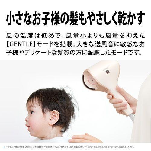 SHARP（シャープ） プラズマクラスター ドレープフロードライヤー