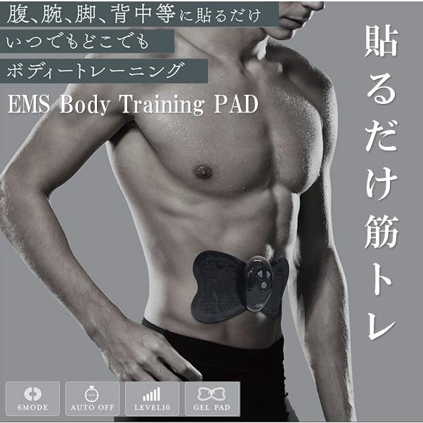 EMS 腹筋ベルト ダイエット トレーニング エクササイズ 正規品 6種×10