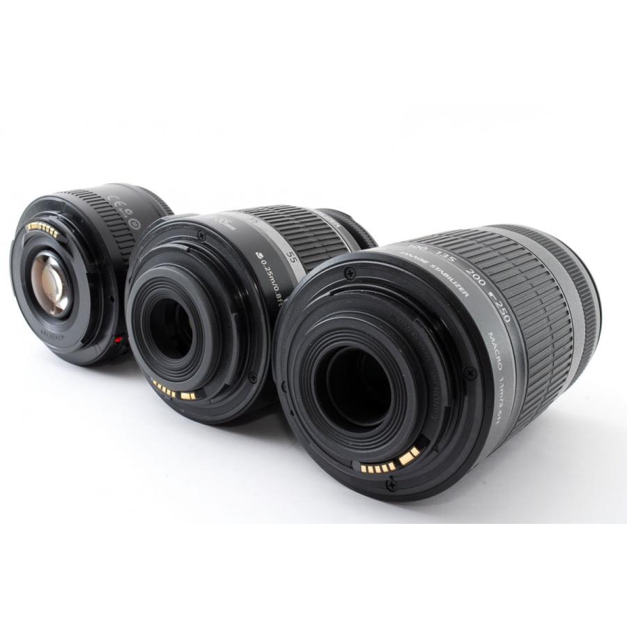 EOS キヤノン デジタル一眼レフカメラ CANON 80D トリプルレンズ 中古