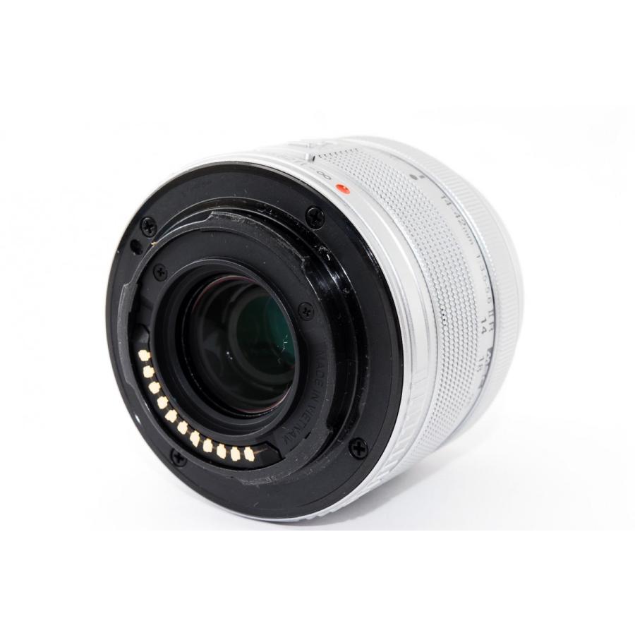 OLYMPUS PEN オリンパス ミラーレス E-PL8 レンズキット ブラウン 中古