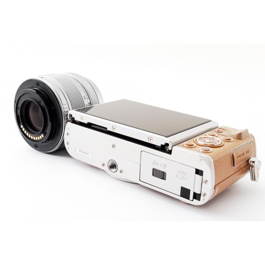 OLYMPUS PEN オリンパス ミラーレス E-PL9 レンズキット ブラウン Wi