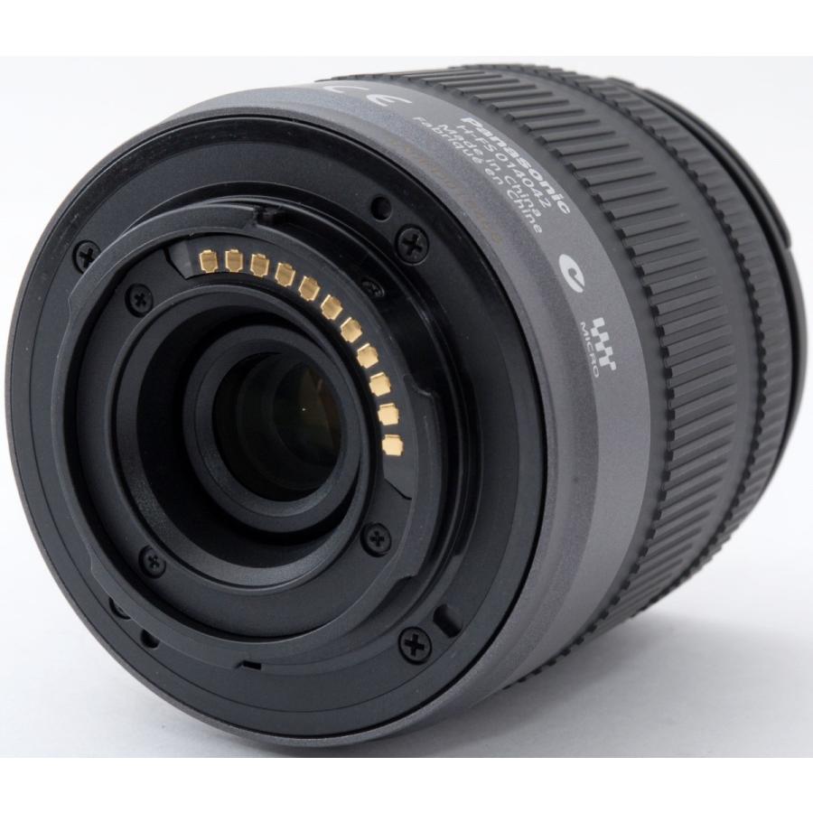 LUMIX パナソニック ミラーレス Panasonic DMC-GH1 レンズキット