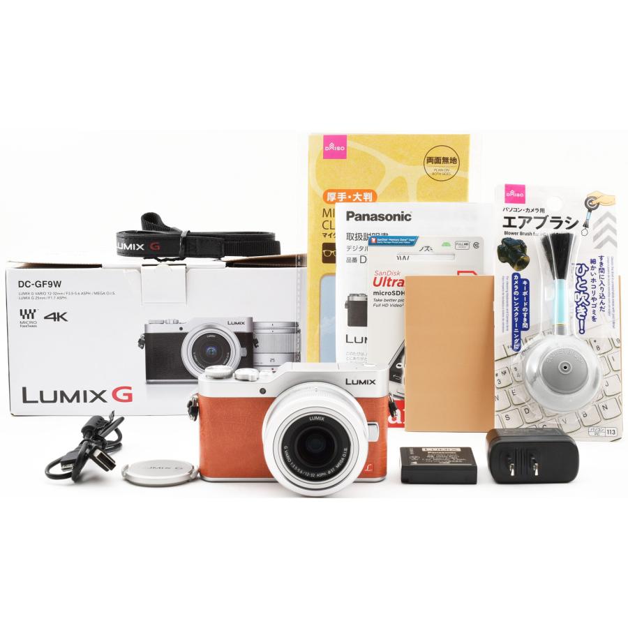 LUMIX Gシリーズ パナソニック ミラーレス Panasonic DC-GF9 レンズ