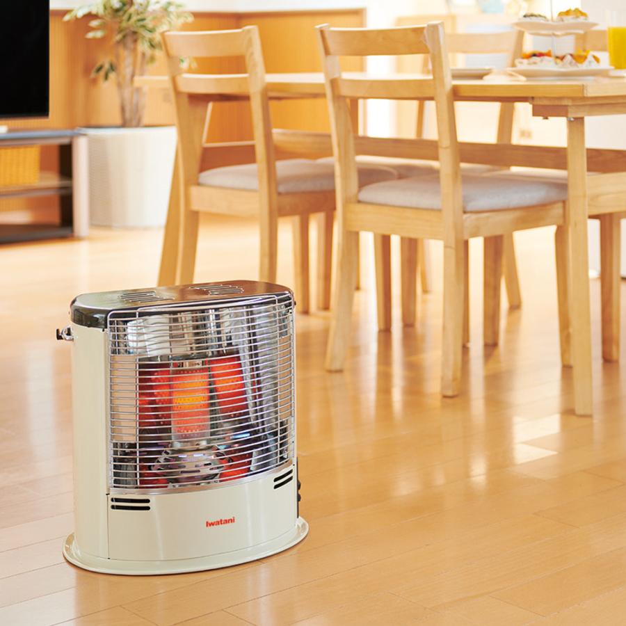 Iwatani（イワタニ） 【公式】Iwatani 岩谷 カセットガスストーブ デカ