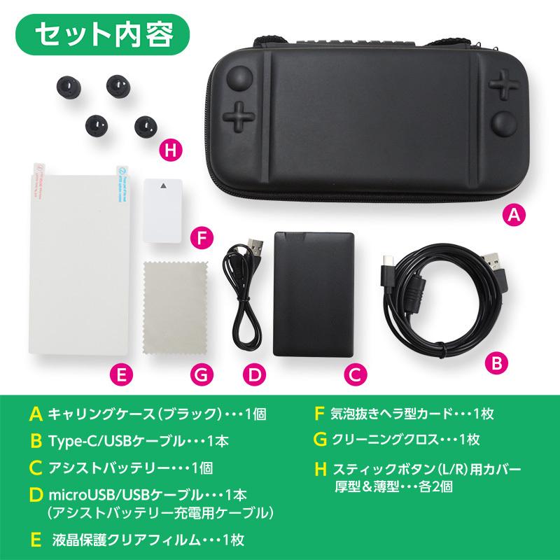 Nintendo Switch Lite 充電器 ケース付き ⚠️箱無し 任天堂 Switch