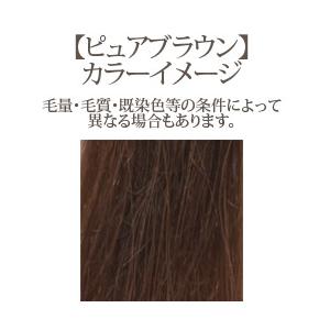 スリークヘナ ピュアブラウン 100g (手袋・パッチテスト用ヘナ 使用