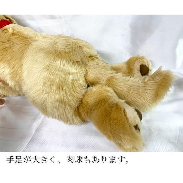 吉徳大光 （ 人形の吉徳 ） ぬいぐるみ 犬 ゴールデンレトリバー L