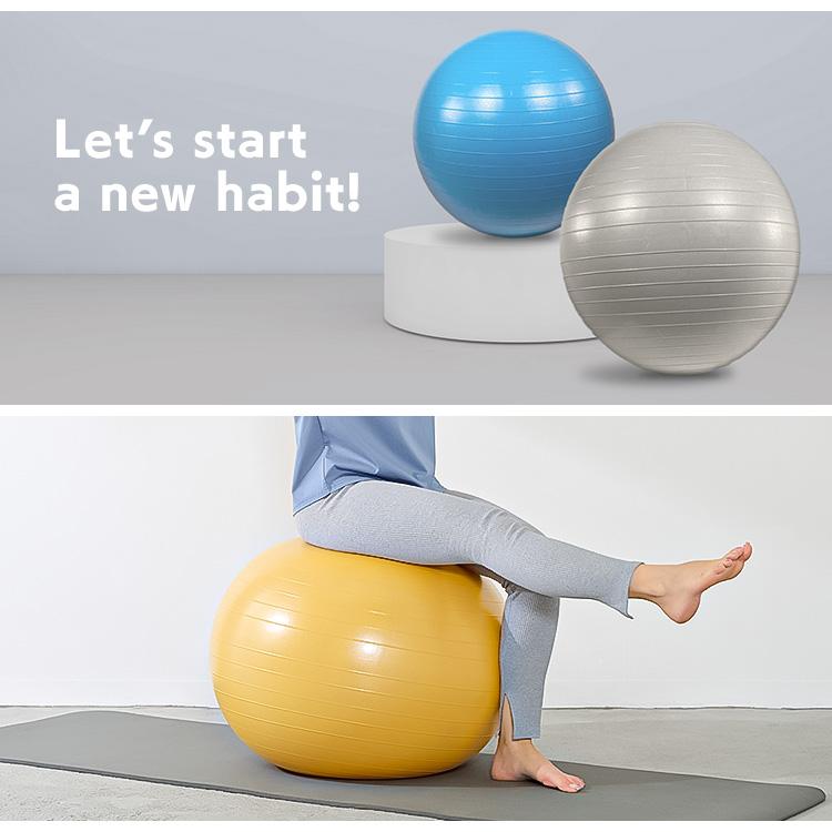 バランスボール 椅子 65cm チェア ヨガボール フィットネス