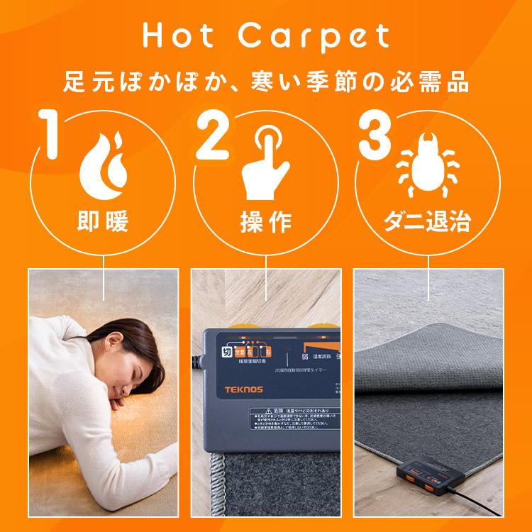 TEKNOS（テクノス） ホットカーペット 4畳 本体 195×290 電気