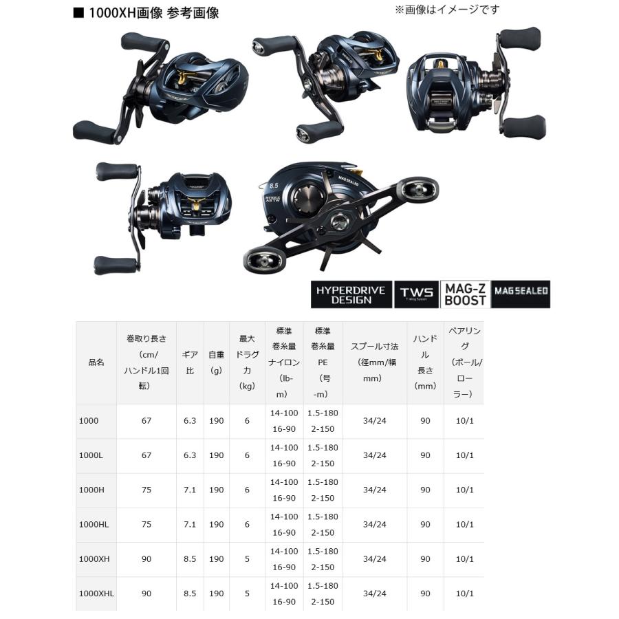 DAIWA（ダイワ） ○ダイワ 23 スティーズ A II TW 1000XHL （左