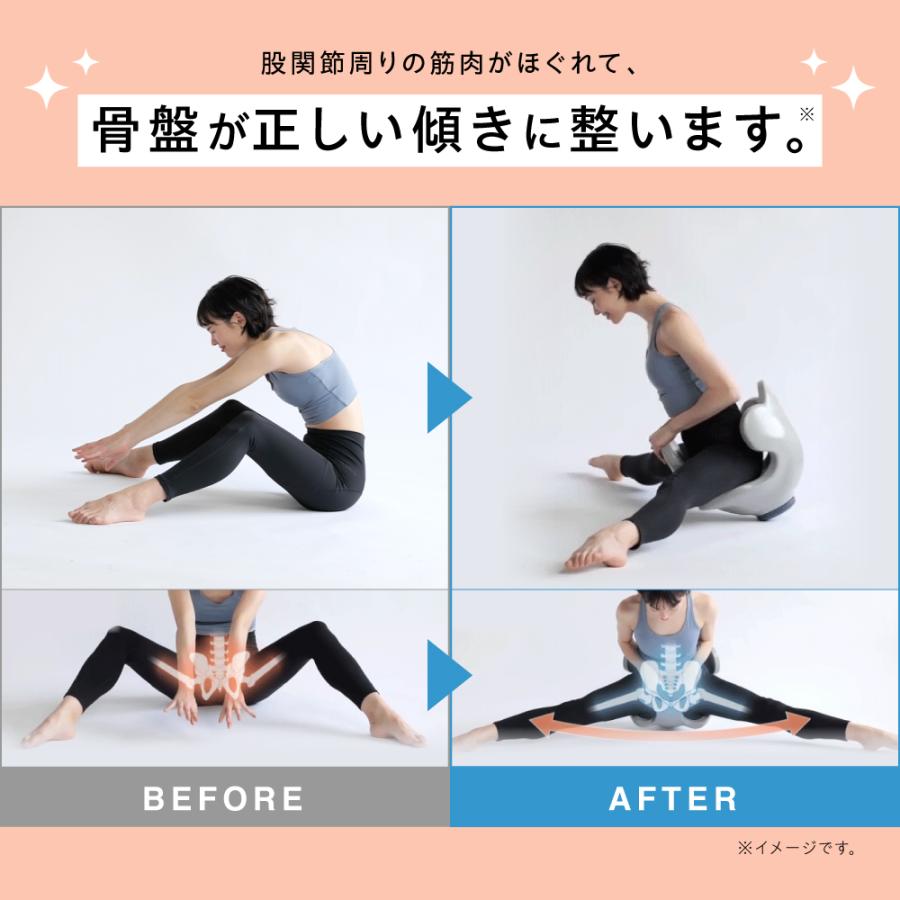 骨盤ケア ストレッチ 美姿勢 柔軟 運動 スタイルアップ 体幹 Circle