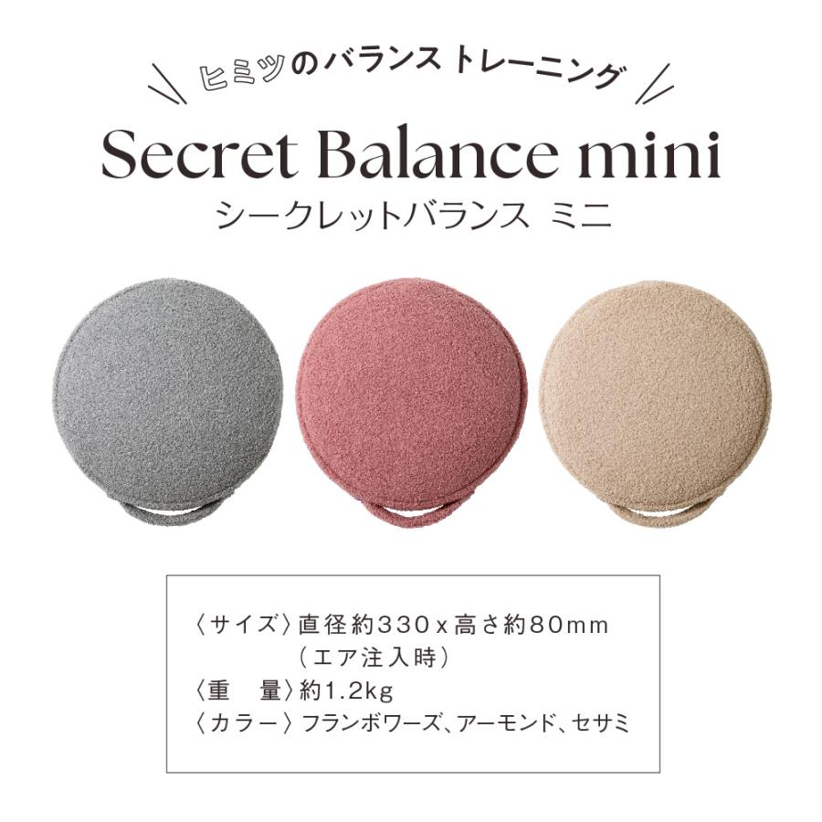 gymterior（ジムテリア） バランスクッション バランスディスク