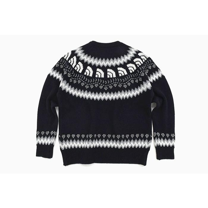 THE NORTH FACE（ザ ノースフェイス） セーター メンズ ハーフ ドーム