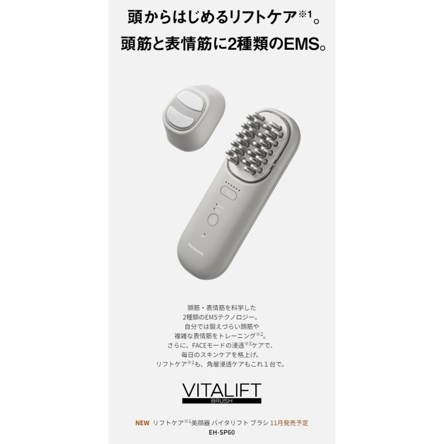 Panasonic（パナソニック） 【在庫あり】EH-SP60-H Panasonic