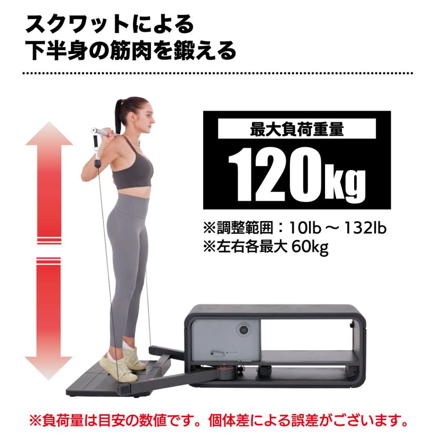 DAIKOU（ダイコー） スマートホームジム ケーブルトレーナー ケーブル