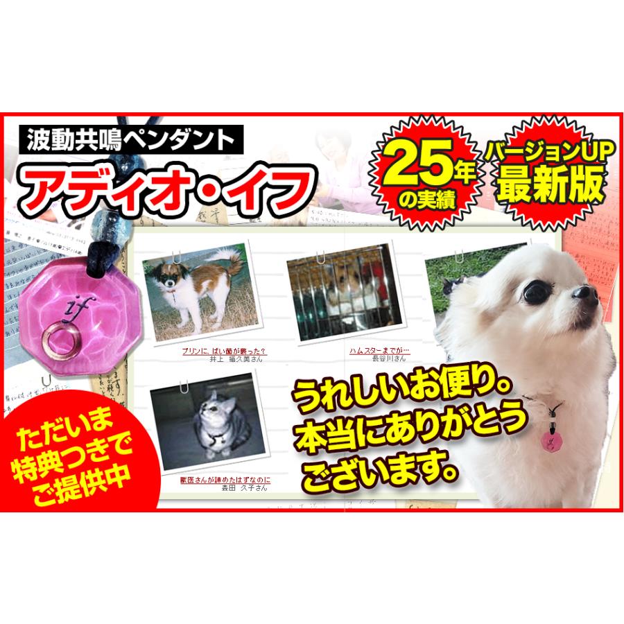 アディオ・イフ（NEWモデル）波動共鳴ペンダント : 自然の森製薬