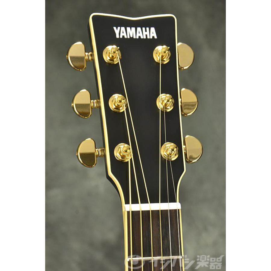 YAMAHA（ヤマハ） YAMAHA / LL6 ARE Black (BL) (詳細画像あり)(ライト