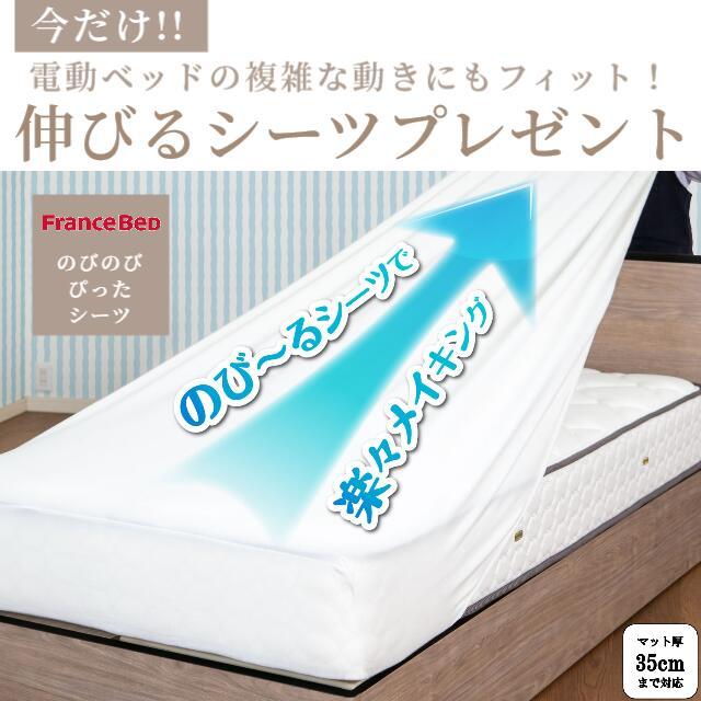 フランスベッド（FRANCEBED） マット付 レステックス-01FN 3モーター