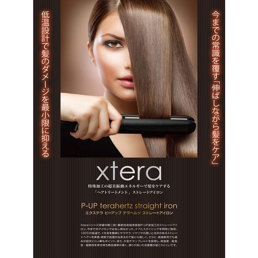 P-UP ピーアップ テラヘルツ ストレートアイロンエクステラ : 愛らんど