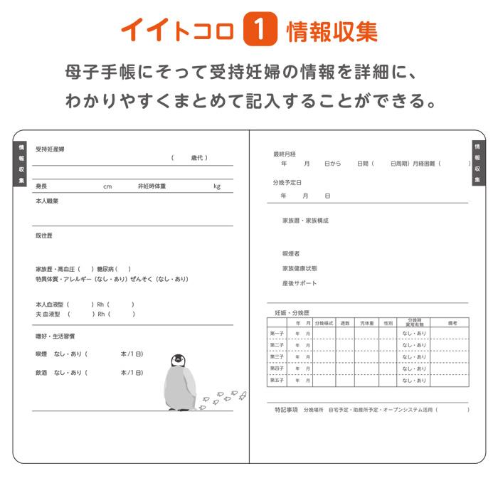 ポイント最大19倍〜3/1」 【120冊】母性看護学生 実習用 ノート