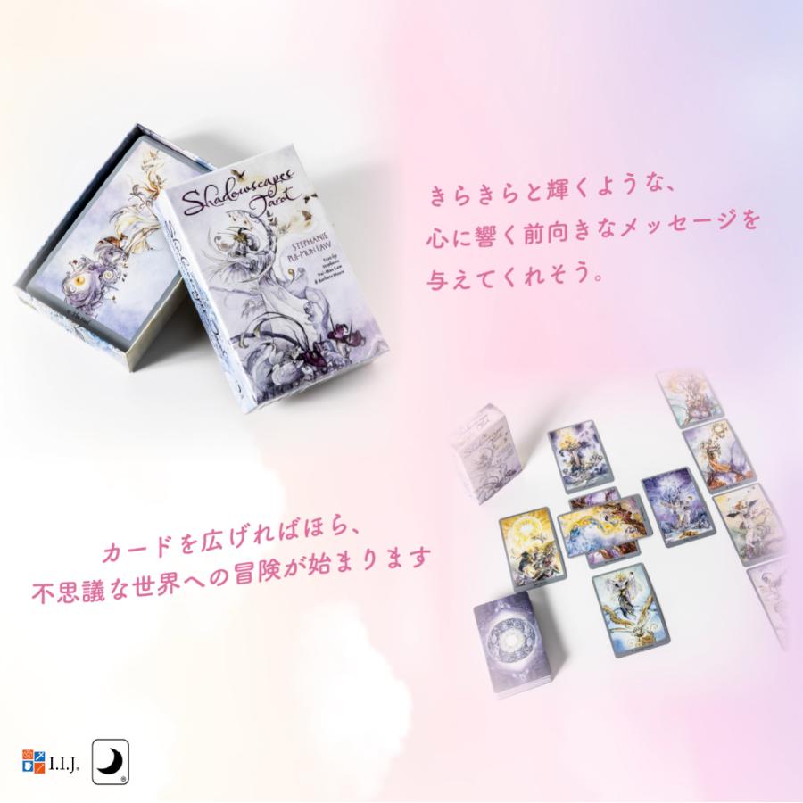 シャドウスケープ タロット デッキ Shadowscapes Tarot Deck タロット