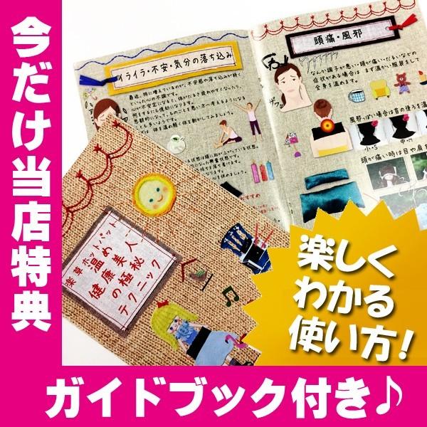 正規品】楽草ホットパット アイパック 電子レンジ 目元 温め ハーブ