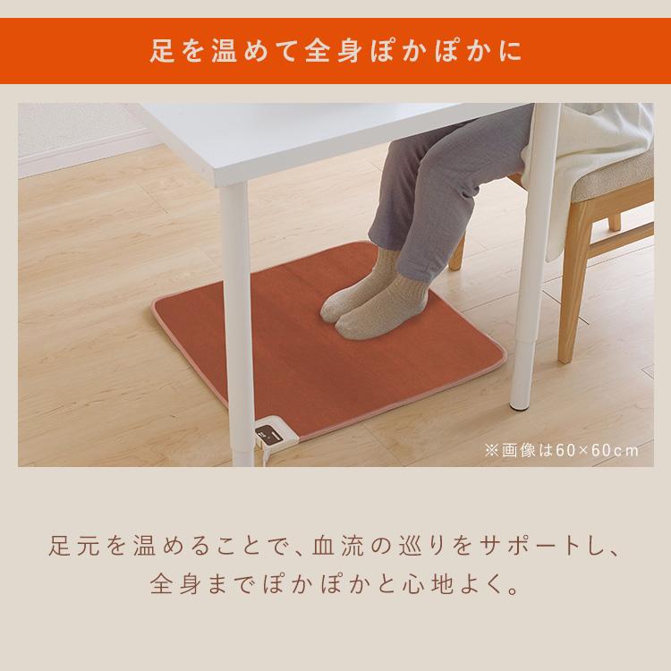 IRIS OHYAMA（アイリスオーヤマ） ホットカーペット ミニ 本体 ラグ 40