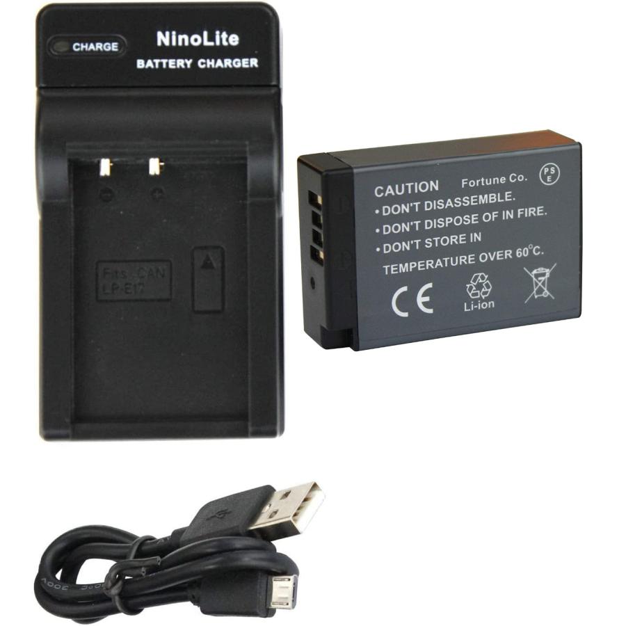 セットDC163 対応USB充電器 と CANON LP-E17 互換バッテリー EOS RP