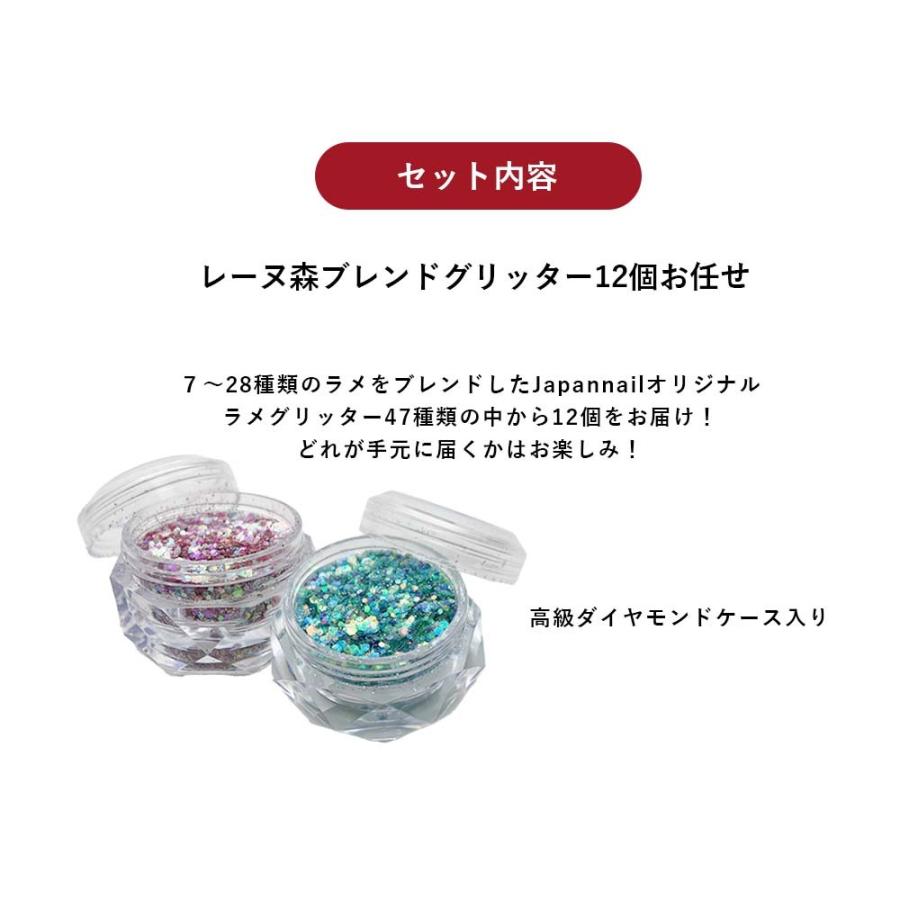 数量限定 2026福袋】ジェルネイル ブレンドグリッター12色セット 日本