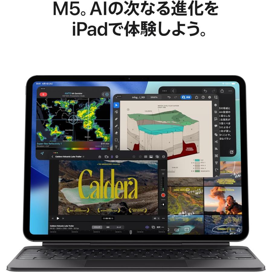iPad Pro ☆新品未開封 2025年秋モデル Apple 11インチ(M5) 256GB Wi