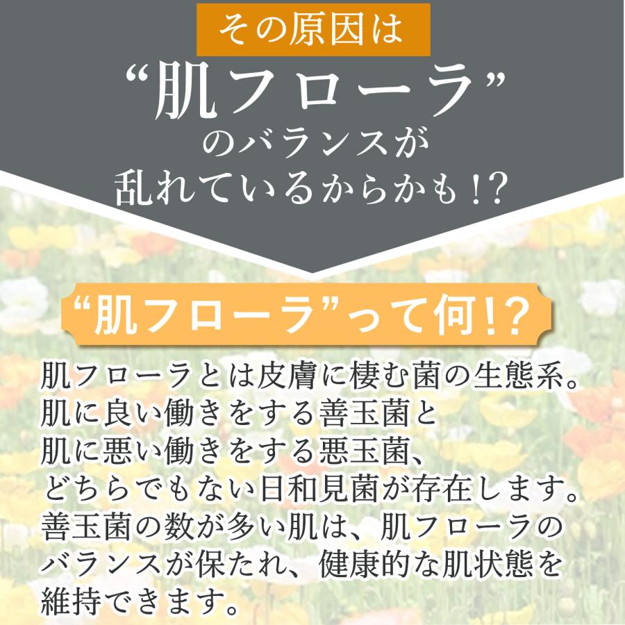詰替え用】ミネランスゲルクリーム500g+容器付 : ミネラル本舗 - 通販