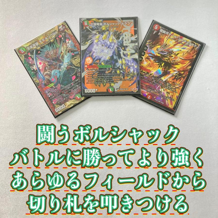 本格構築 【赤緑王闘ボルシャック】 デッキ＆二重スリーブ 《 王来英雄