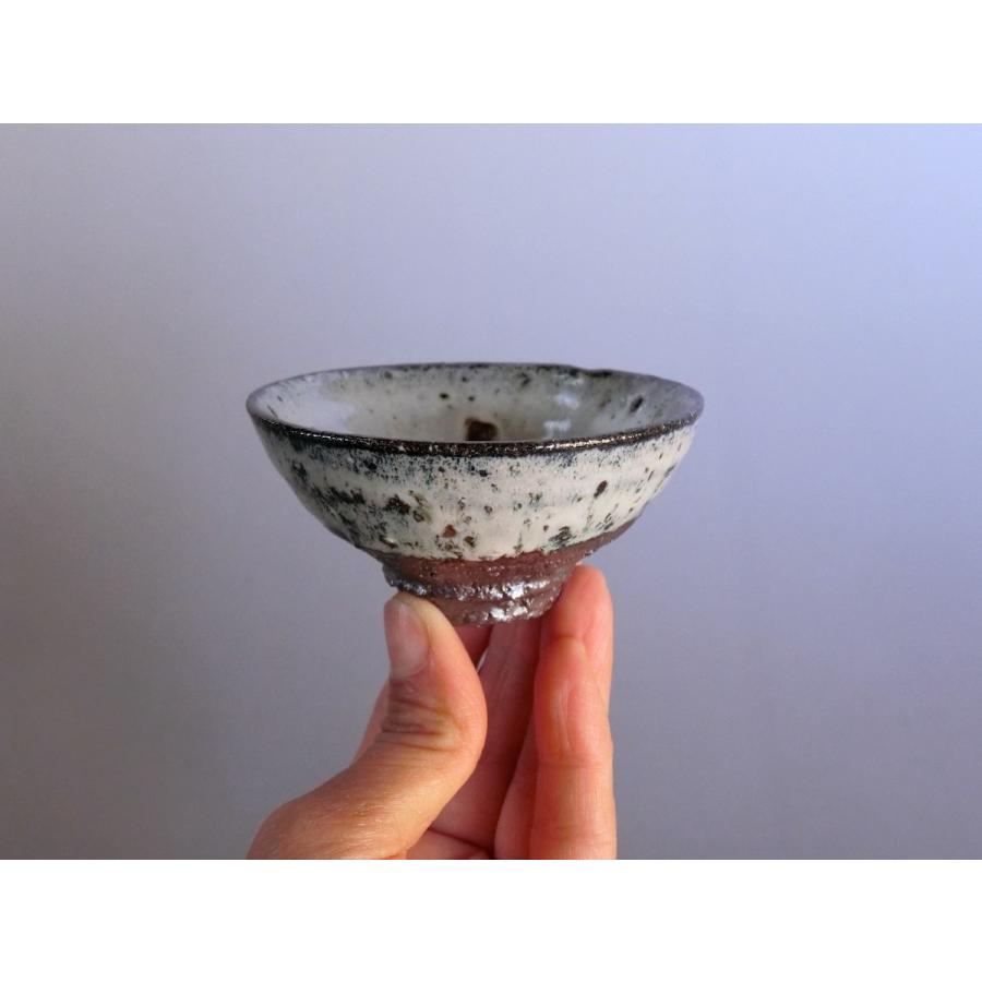 唐津焼中川自然坊窯】中川恭平作 斑唐津盃（箱付） : 唐津焼中川自然坊