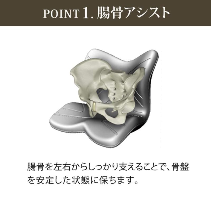 Style（スタイル） 爆買 姿勢ケアシート Style PREMIUM プレミアム MTG